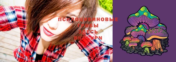 героин Вяземский