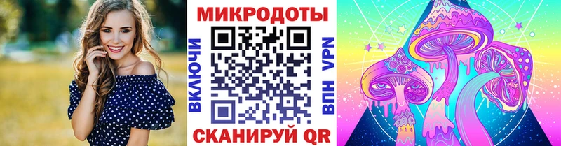 Купить  Короча  Галлюциногенные грибы мицелий 